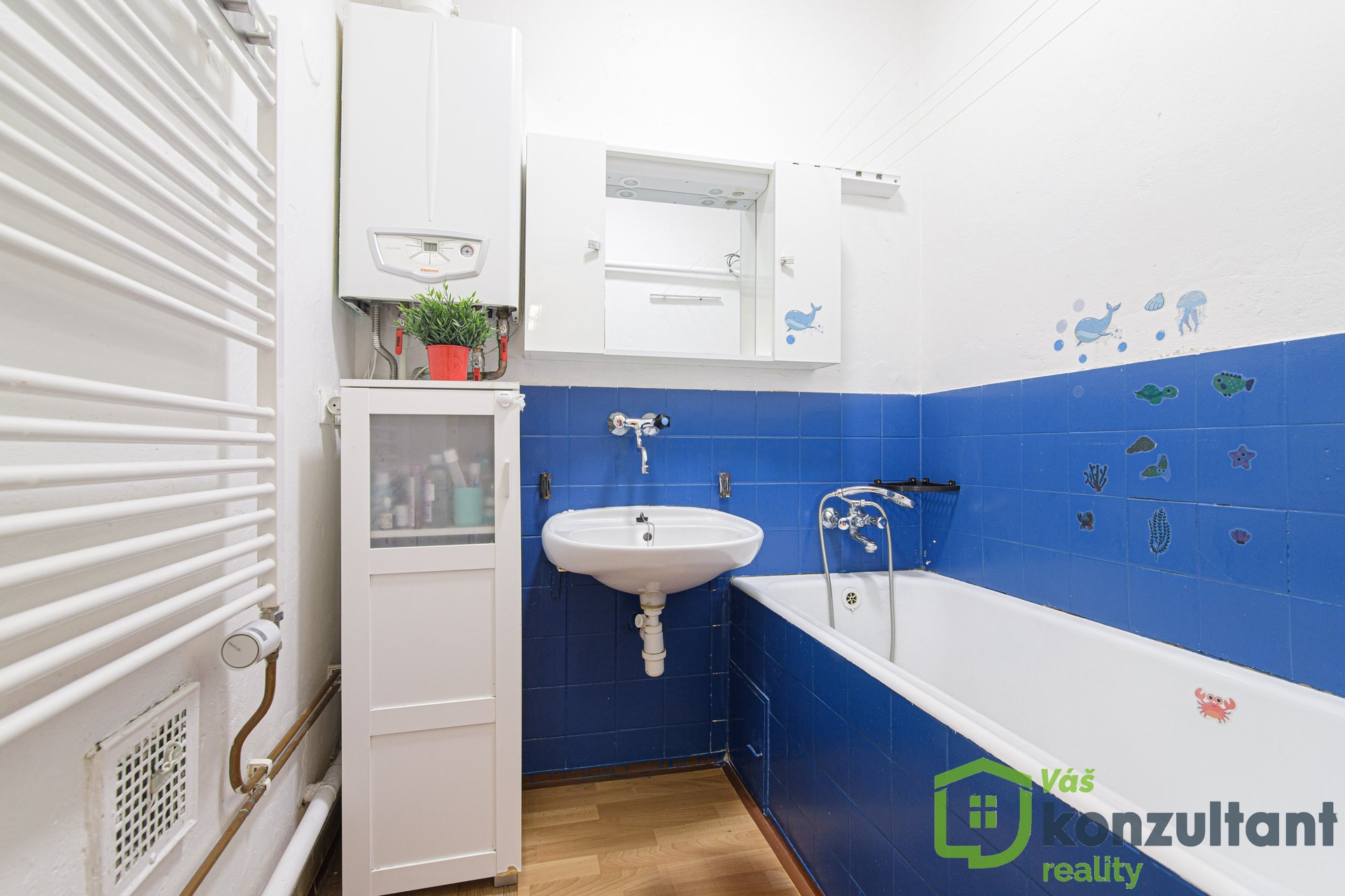 Veronika Hruskovska Fucikova 1315 Pribor 17-4-2026-8