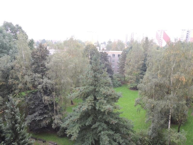 1565725856-073ee9adeaadb1a09f6842176c52ae2b
