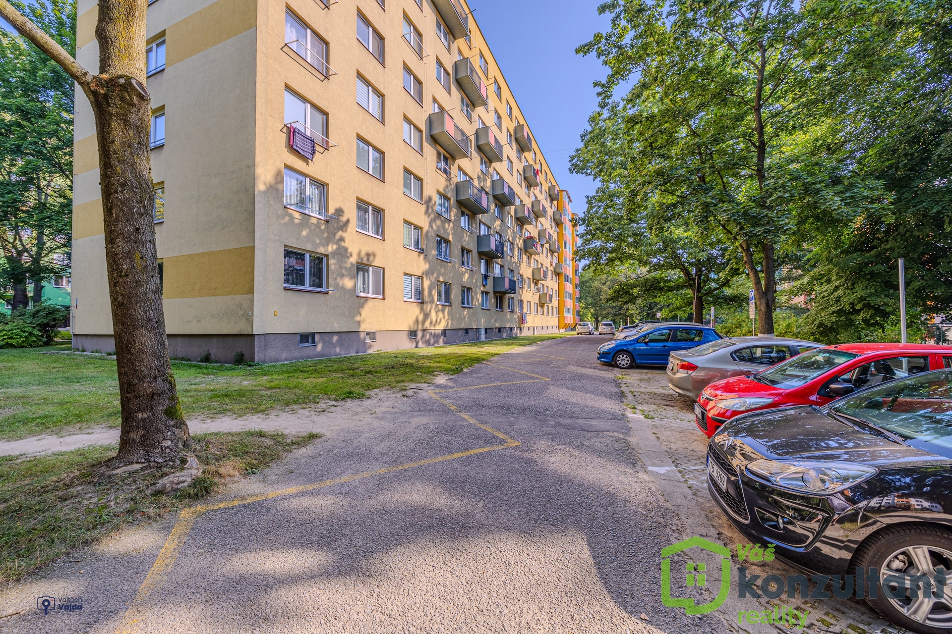 Vojte╠îch Vajda_profifoto-15