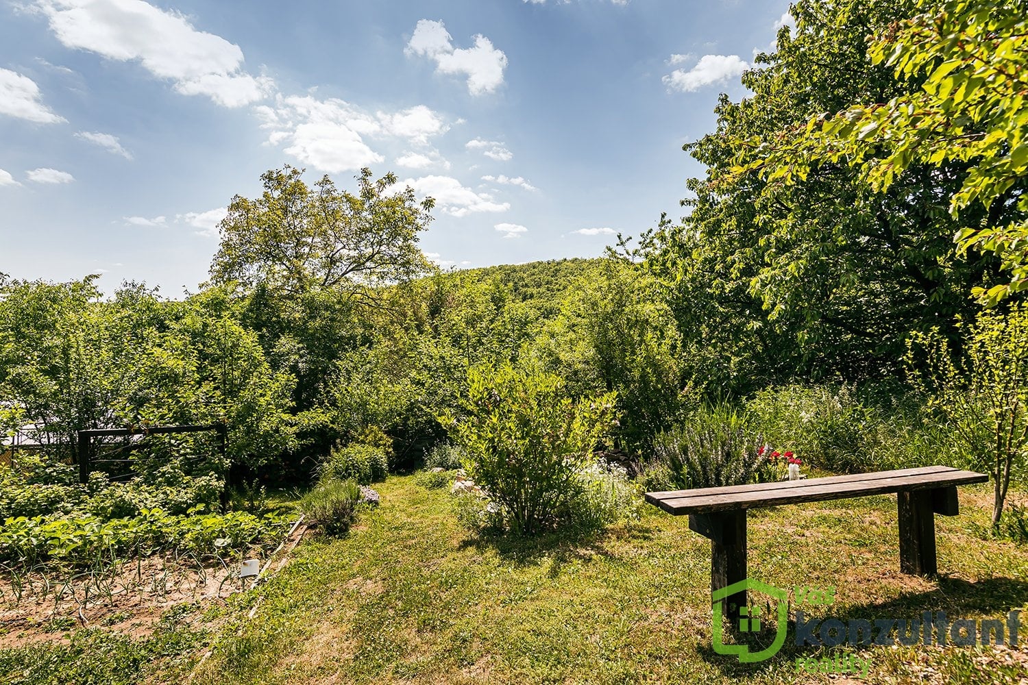 fotopozemekpopuvky (9)