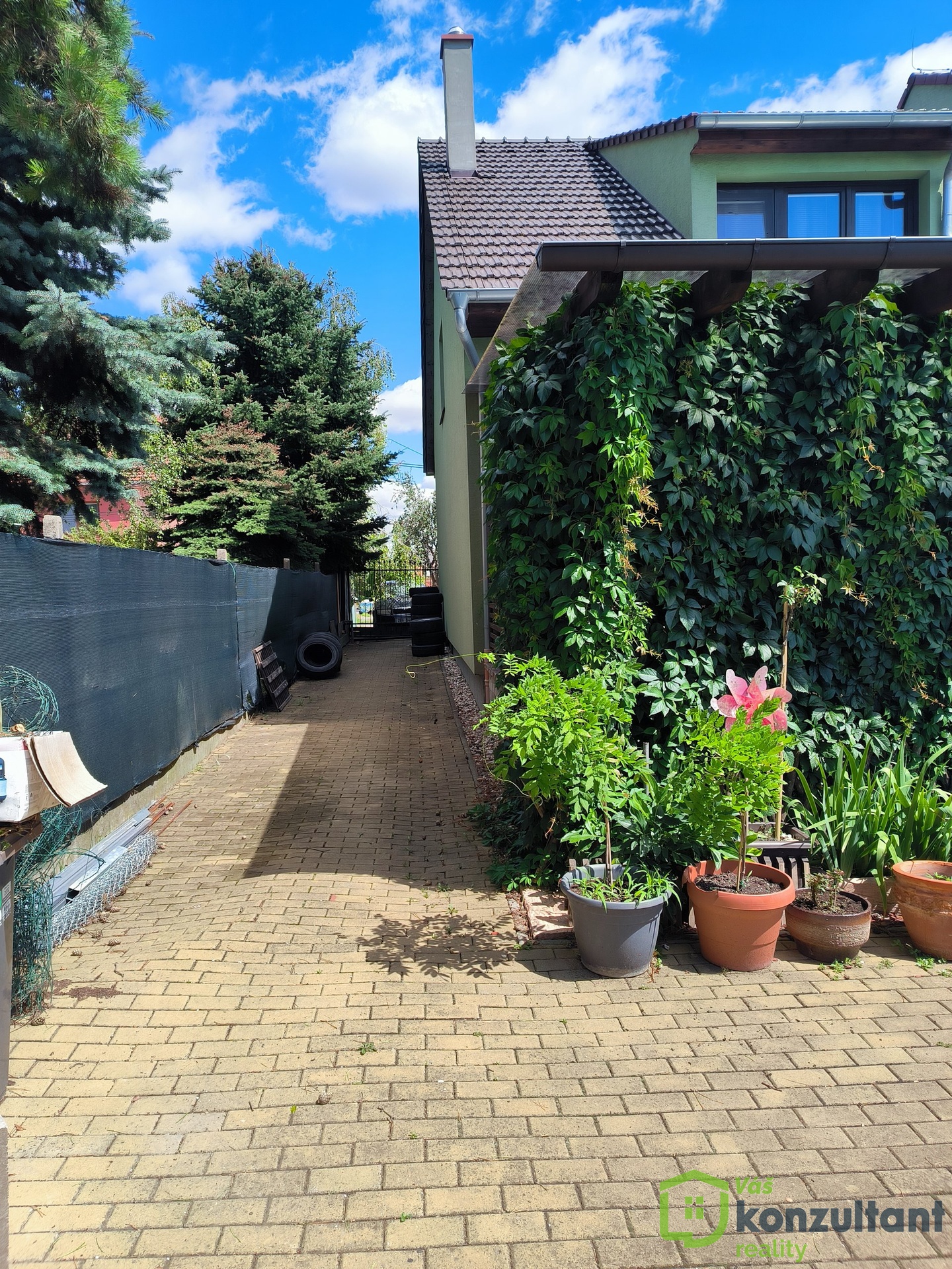 IMG_20240704_113057 (1)