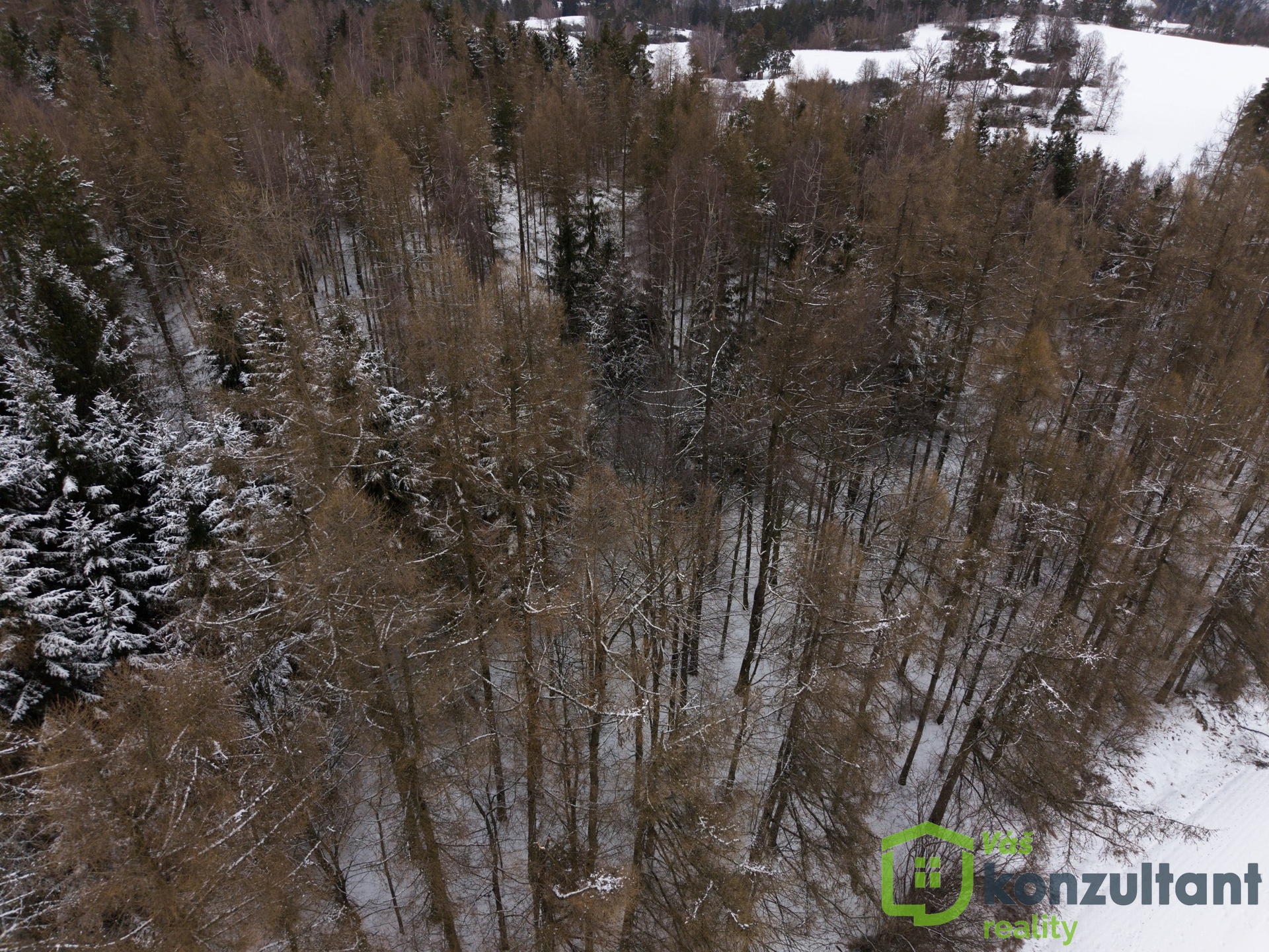 DJI_20260218110245_0170_D-HDR