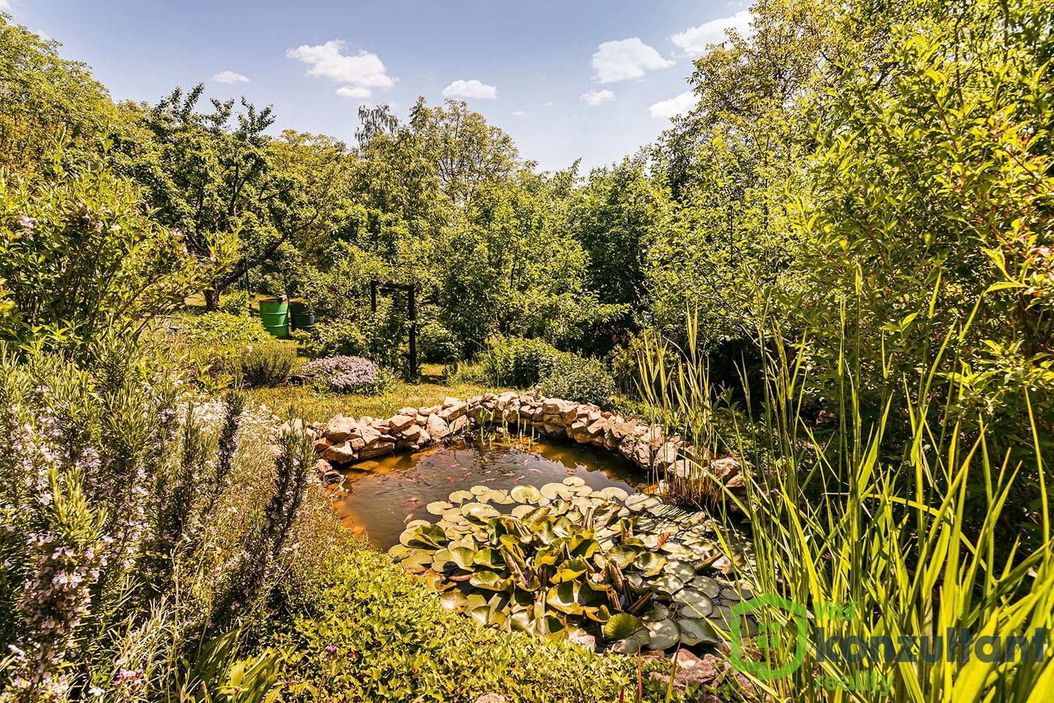 fotopozemekpopuvky (10)