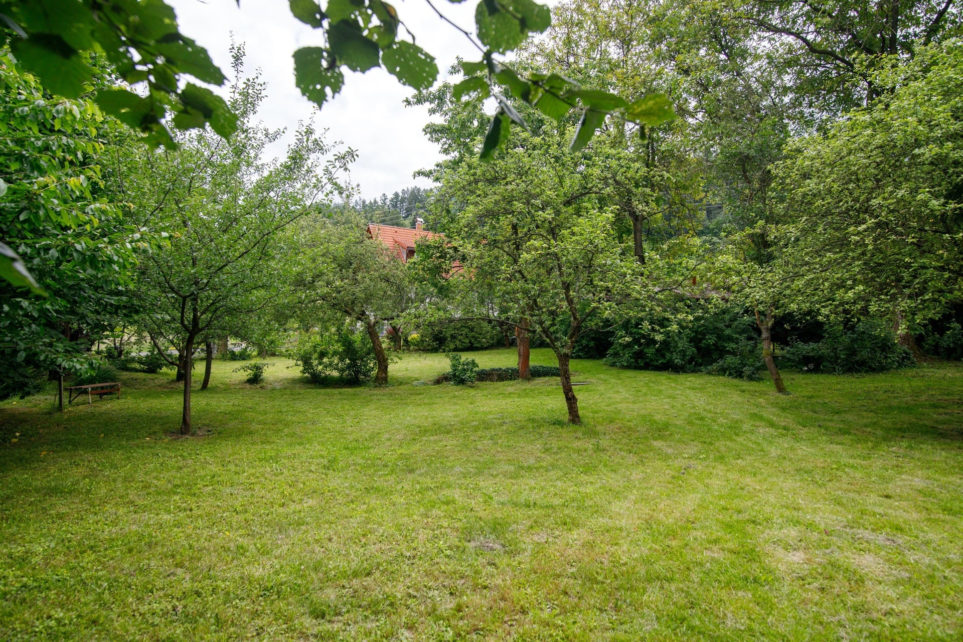 Veronika Hruskovska  2 pozemek Myslik Palkovice  15-6-2026-15