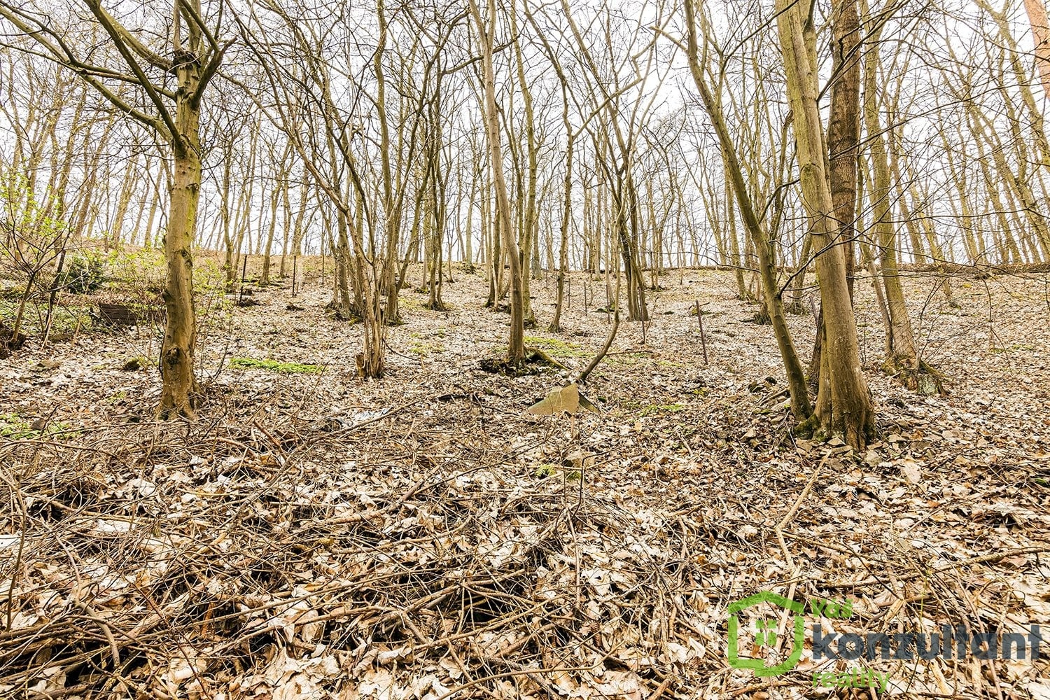 fotochatajundrov (24)