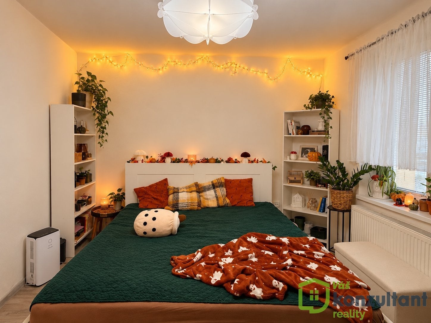 Prodej bytu 1+1 33 m², Opava - Předměstí