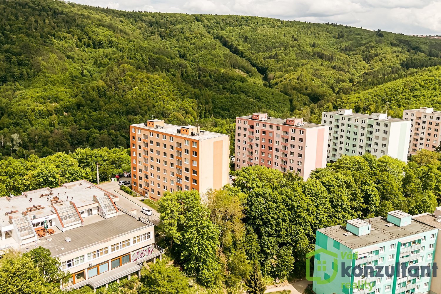 FOTOBYTADAMOVDRON (4)