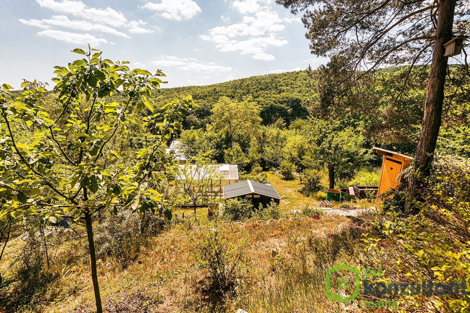 fotopozemekpopuvky (15)